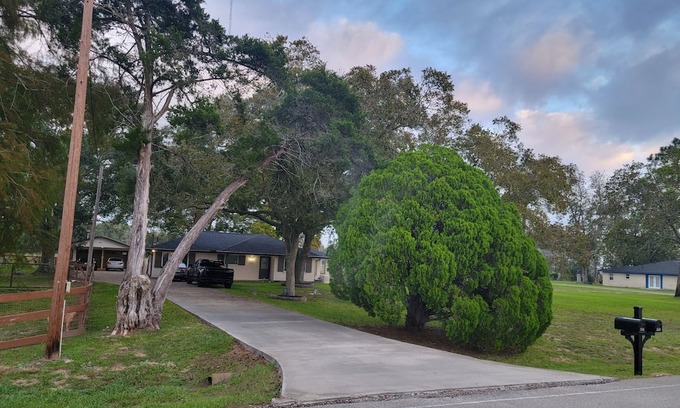 Alvin Casa | A peaceful guesthouse that is close to everything but feels miles away!