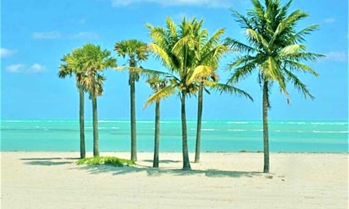 Key Biscayne Apartamento | Cozy 2BR Retreat with Pool, Walk to the Beach! -