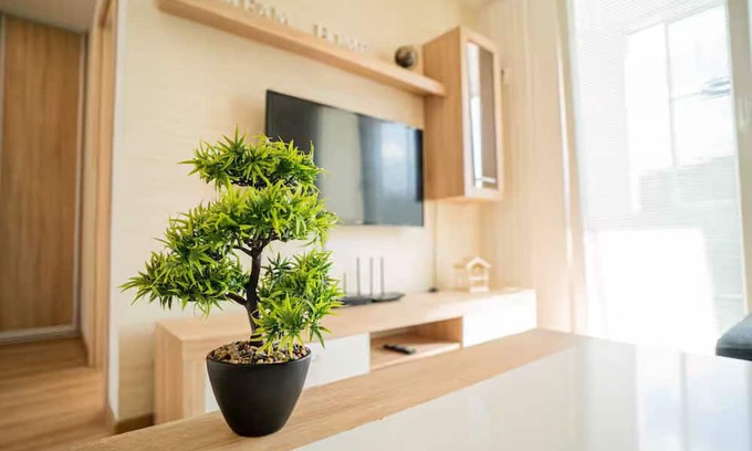 Juh Apartamento | Nice flat in city