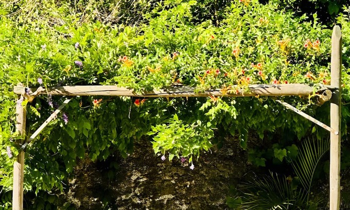 Jimena de la Frontera Casa | Chalet 'Finca El Búho Oak Natural Park' with Sea Views, Wi-Fi and Air Conditioning