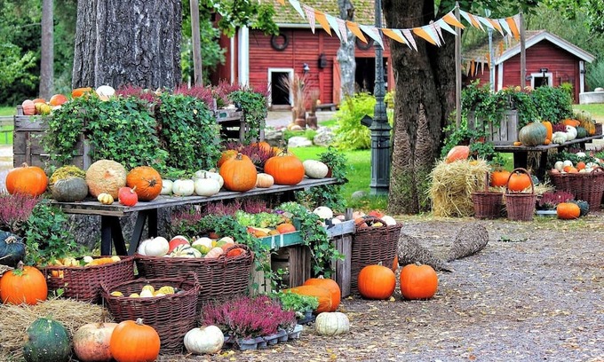 Ina Casa | Limited Time Offer Happy Halloween AllInclusiv/Ina Nagano