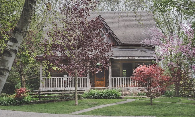 Zorra Cabina | This Listing is not yet Live