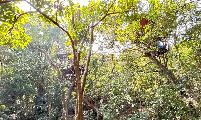 Sakleshpur Cabina | Treedom Treehouse Eco-Restoration getaway in the Jungles of South India