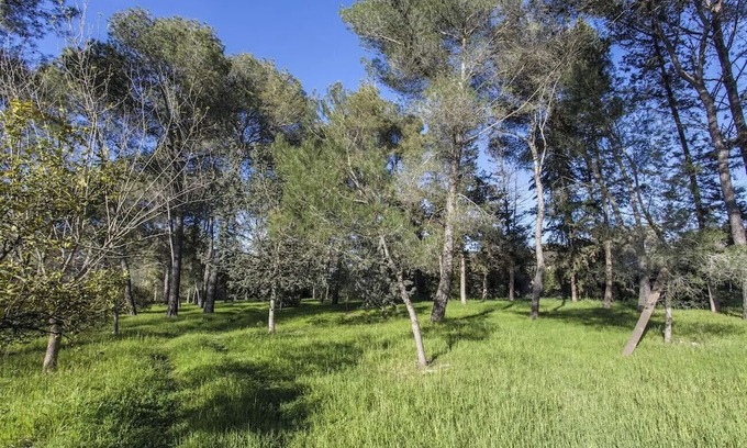 Manduria Cabaña | Villa Cardinale in Salento with pinewood and swimming pool. Puglia.