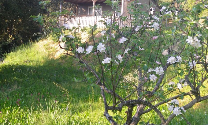 Vico Chalet De Esquí | Chalet rental in the shade of oak trees on private property 7 minutes from the sea