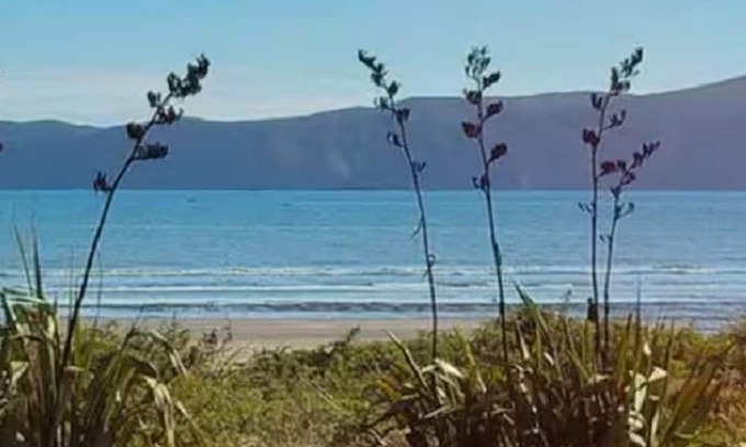 Paraparaumu Apartamento | Paraparaumu Beach Hideaway