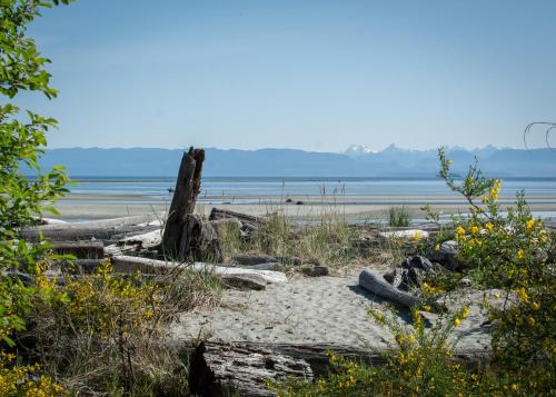 Comox Casa | Windslow Guest Suite at Kye Bay