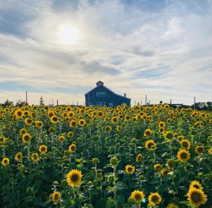 Egerton Hotel | Fossil Farms Oceanside Retreat