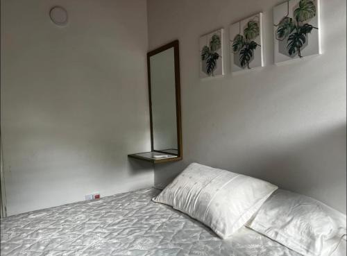 La Dorada Casa | Aluna