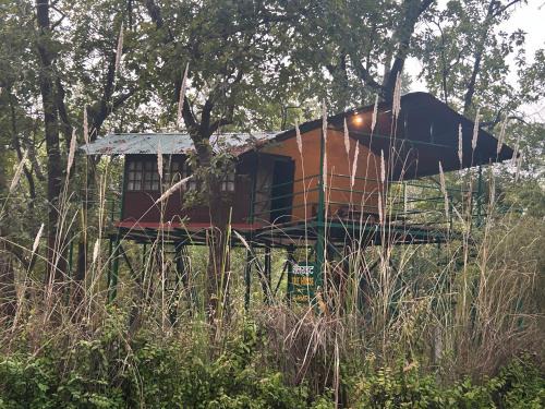 Baihar Otro | Treehouse at Kamp