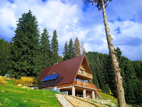 Busteni Casa | Cabana A-frame Padina