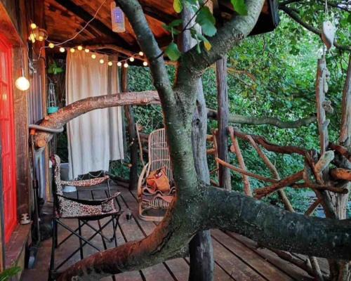 Cluj-Napoca Otro | Forest TreeHouse