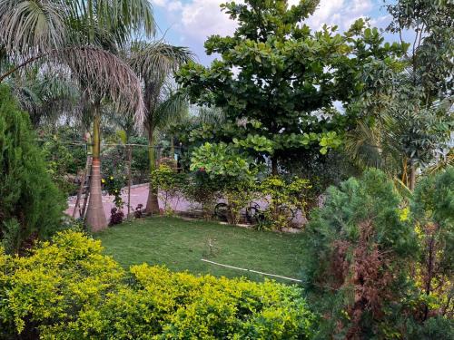 Nashik Casa | Delightful Champa - A farmstay