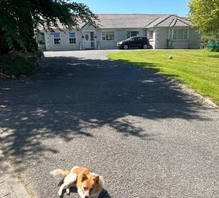 Kilgreaney Casa | graiguenamanagh Homestay