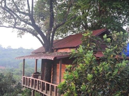 Ban Lung Cama Y Desayuno | Coffee Tanam Leisure Lodge&Tours