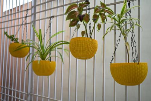 Mahmoorganj Apartamento | Kashi Gateway