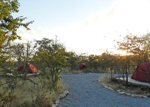 Okaukuejo Otro | Etosha Village Campsite